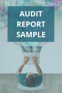 Audit Report Sample Icon