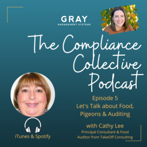 Auditing Podcast